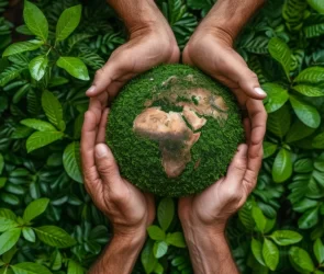 Ways to Reduce Carbon Footprint web suggest